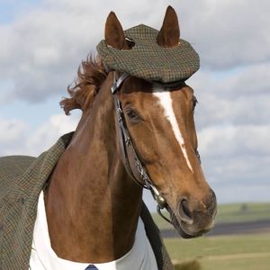 Meet your Posher, Robert